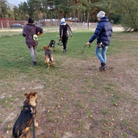 Spacery socjalizacyjno-komunikacyjne