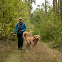 Dogtrekking