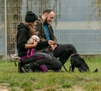 Kontynuacja konsultacji behawioralnej (stacjonarna)